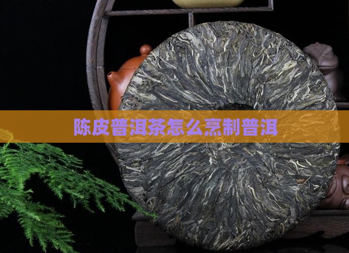 陈皮普洱茶怎么烹制 陈皮普洱茶怎么烹制