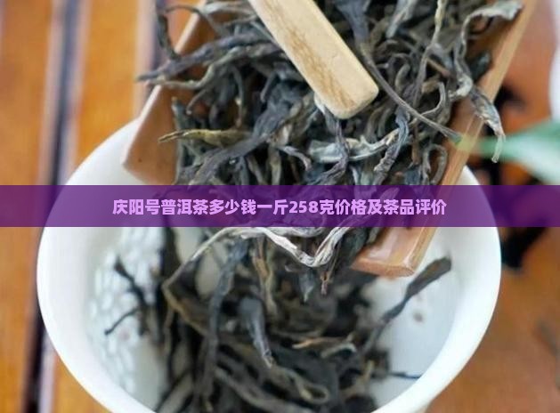 庆阳号普洱茶多少钱一斤