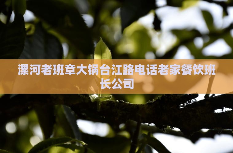 漯河老班章大锅台