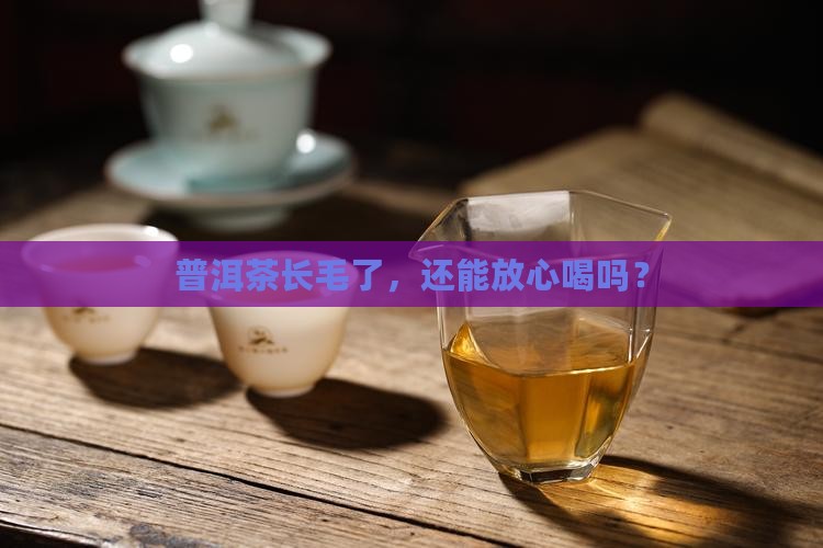 普洱茶起霉还能喝嘛