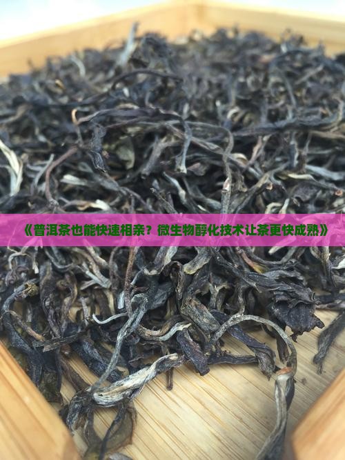 普洱茶微生物快速醇化技术