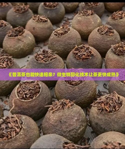 普洱茶微生物快速醇化技术