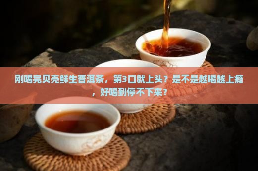 贝壳鲜生普洱茶好喝吗怎么样
