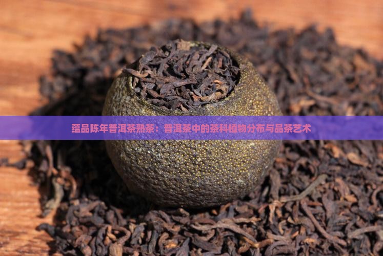 蕴品陈年普洱茶熟茶