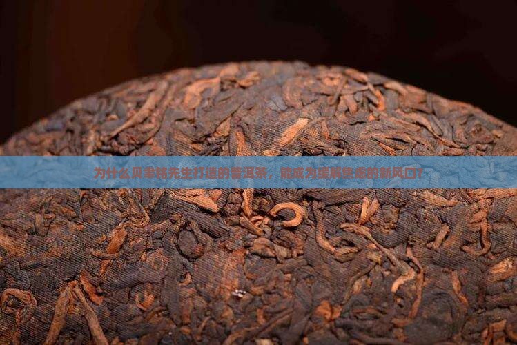贝聿铭先生打造的普洱茶