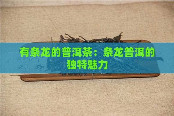 有条龙的普洱茶