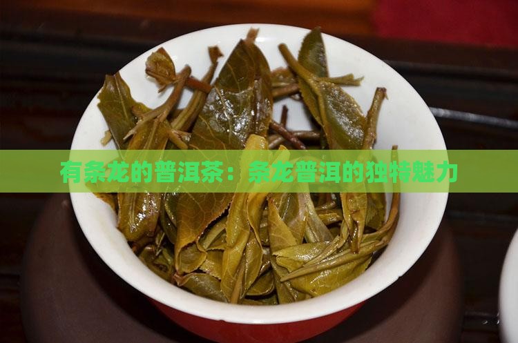 有条龙的普洱茶