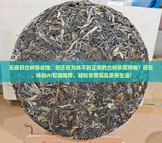 无极轩古树茶会馆