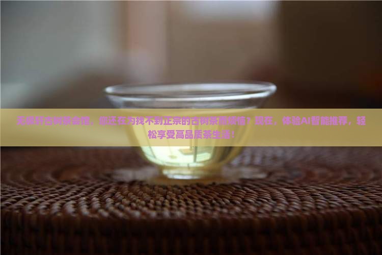 无极轩古树茶会馆