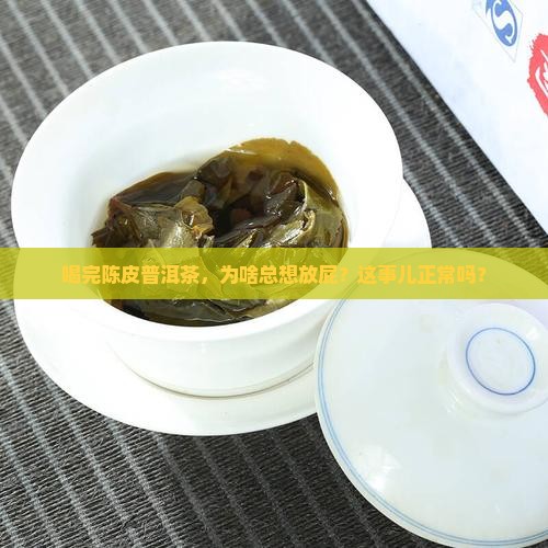 喝陈皮普洱茶放屁咋回事