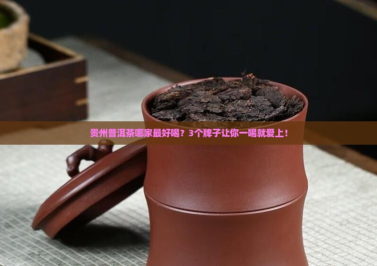 贵州普洱茶哪个牌子好喝