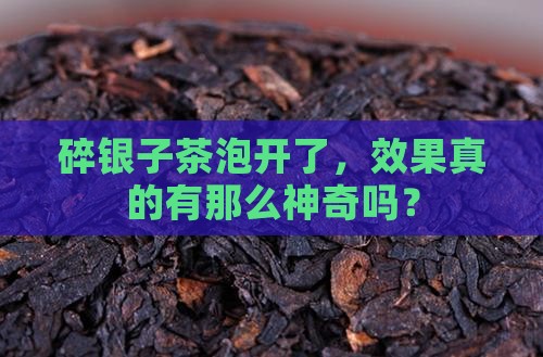 碎银子茶泡开的效果怎么样