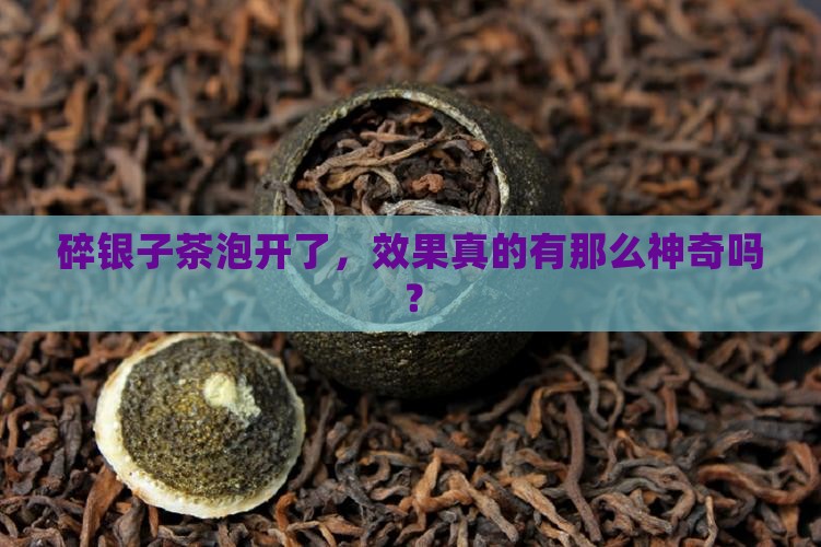 碎银子茶泡开的效果怎么样