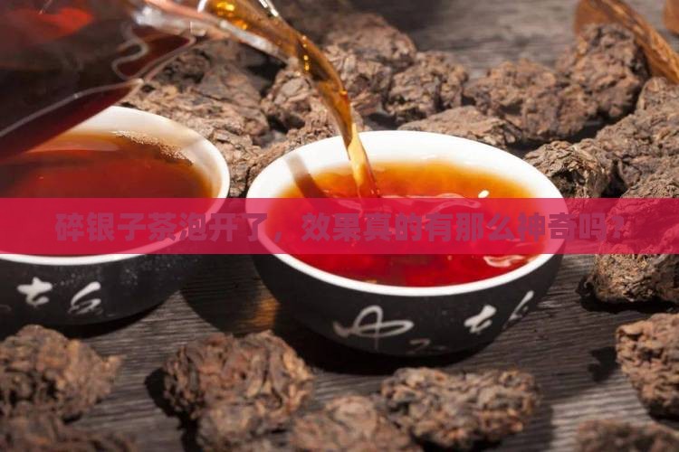 碎银子茶泡开的效果怎么样