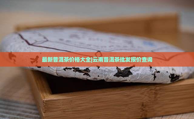柔情似水普洱茶单价