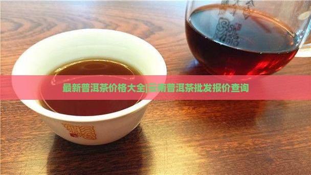 柔情似水普洱茶单价
