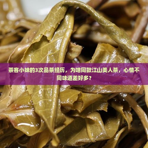 江山美人茶叶境由心造