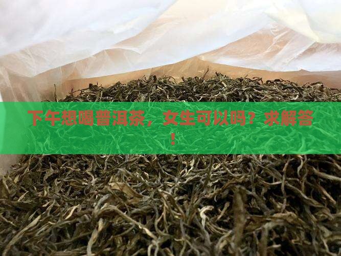 女生下午喝普洱茶可以吗