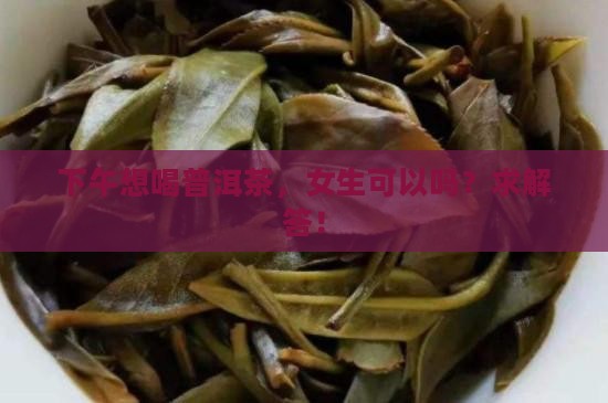 女生下午喝普洱茶可以吗