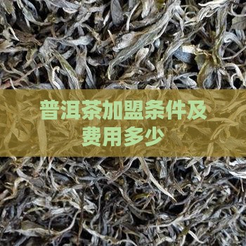 扬州普洱茶加盟条件