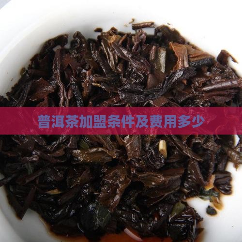扬州普洱茶加盟条件