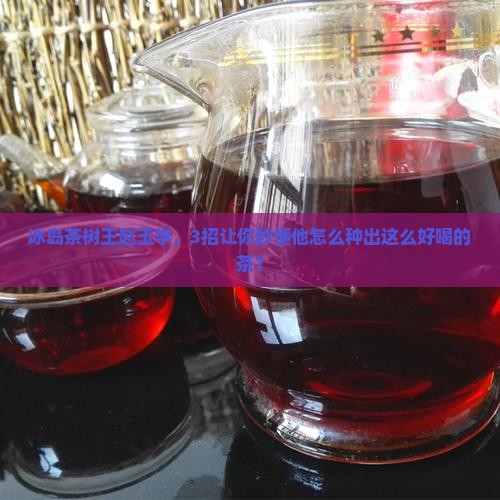 冰岛茶树王赵玉学