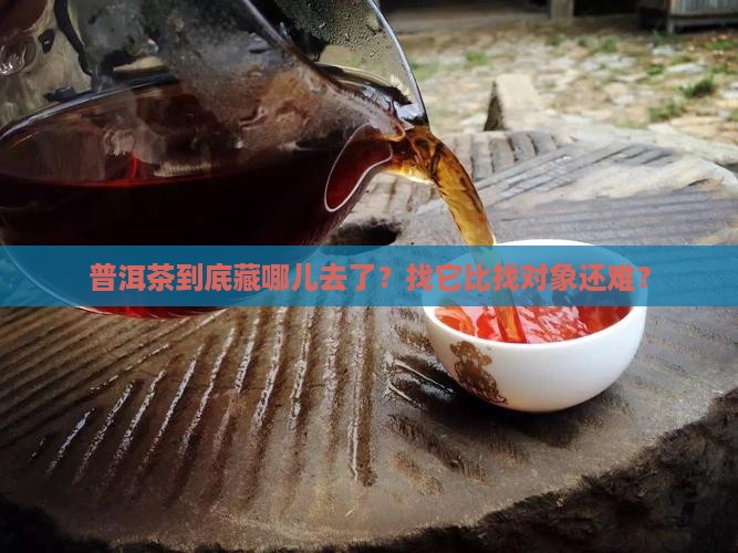 普洱茶为什么这么难找人