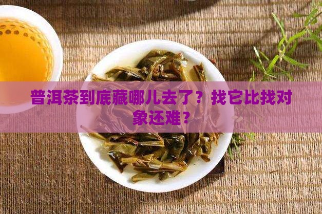 普洱茶为什么这么难找人