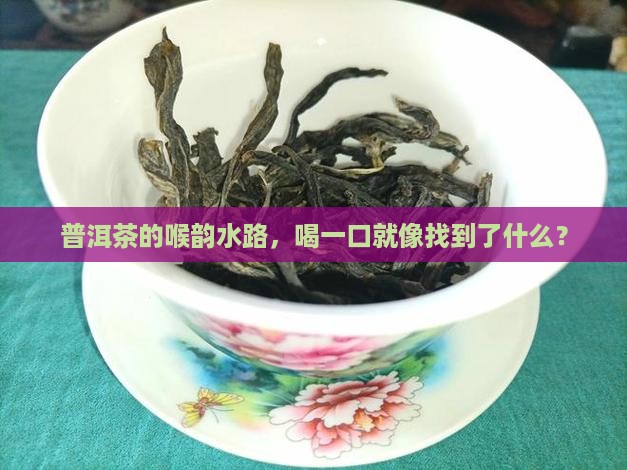 普洱茶喉韵水路
