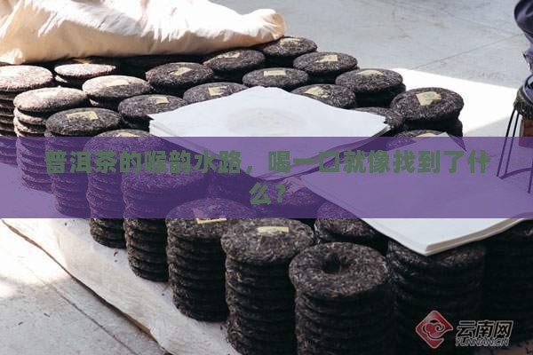 普洱茶喉韵水路