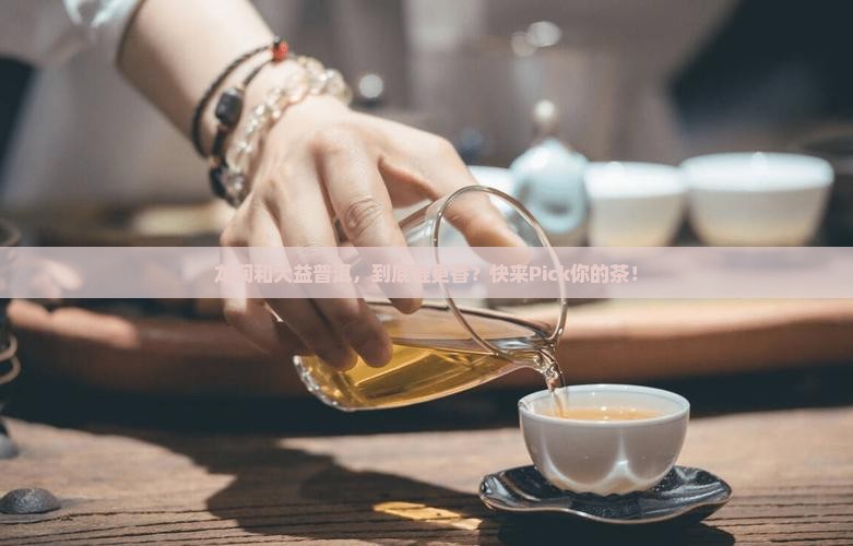 龙润普洱茶和大益