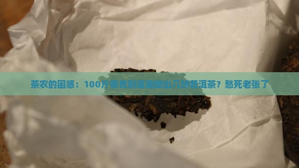 多少茶青能做一饼普洱茶