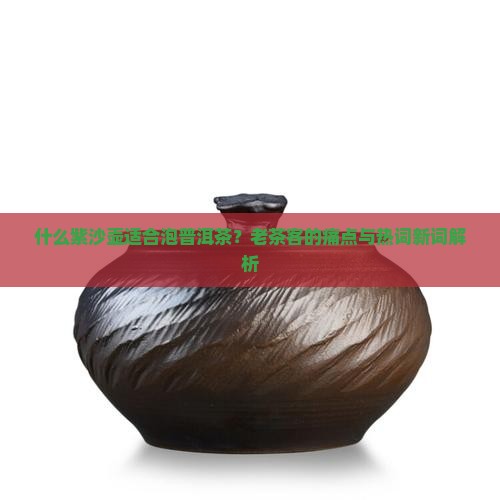 什么紫沙壶适合泡普洱茶