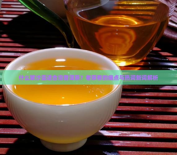 什么紫沙壶适合泡普洱茶