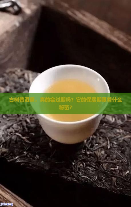 古树牌普洱茶有保质期吗