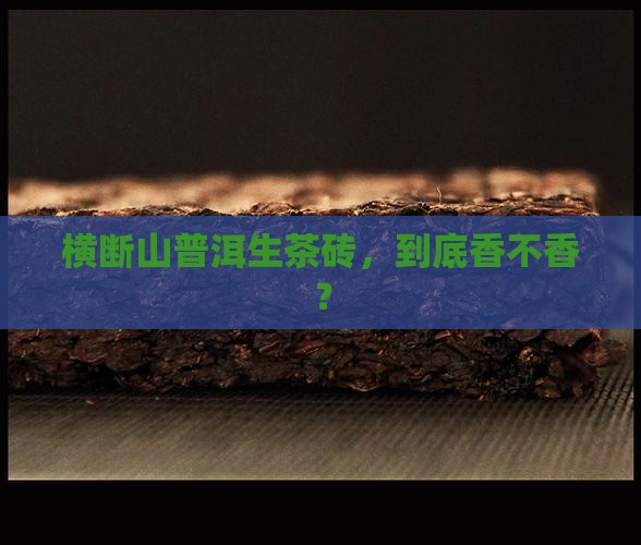 横断山普洱生茶砖好吗