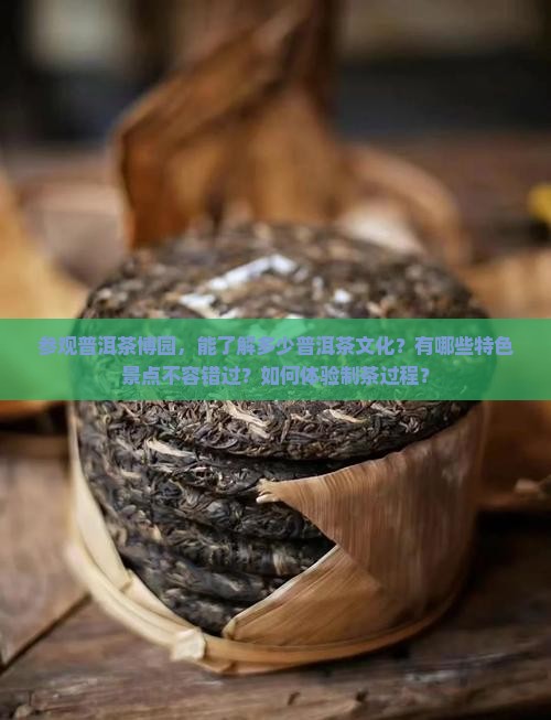 参观普洱茶博园