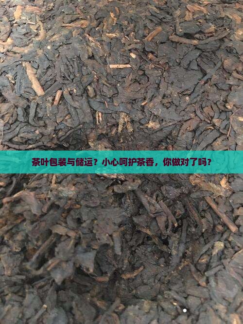 茶叶包装与储运