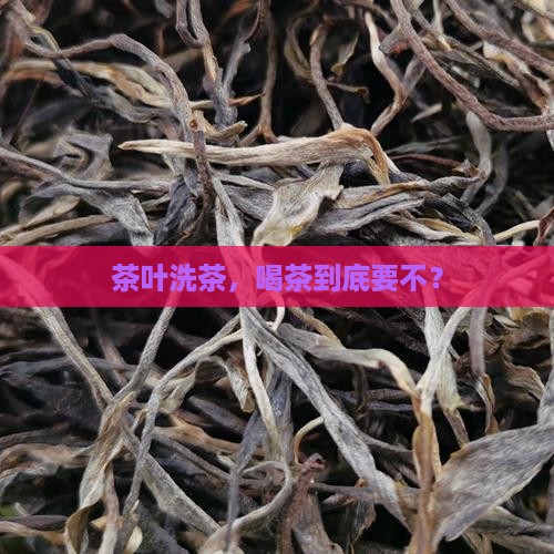 喝茶叶要洗茶叶吗 喝茶叶要洗茶叶吗