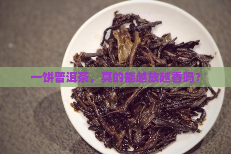 普洱茶一饼能不能陈化