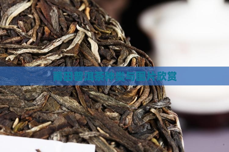 莆田熟普洱茶种类