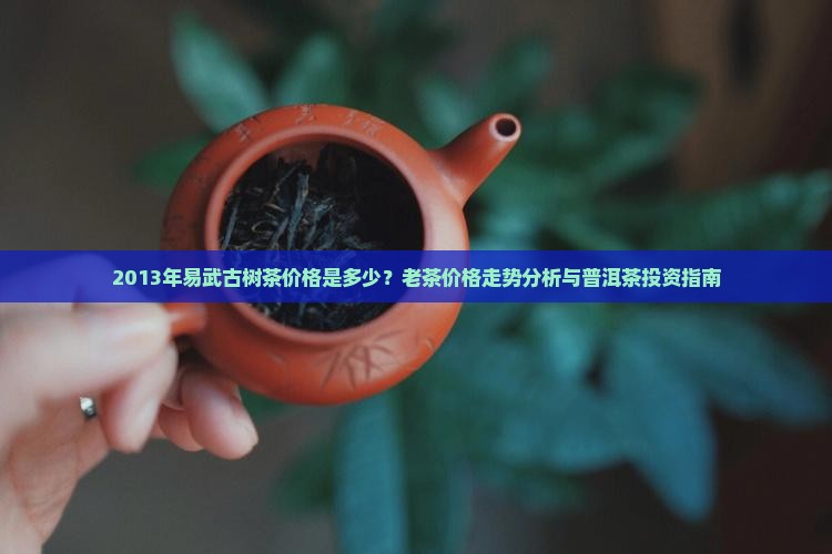 2013年易武古树茶价格