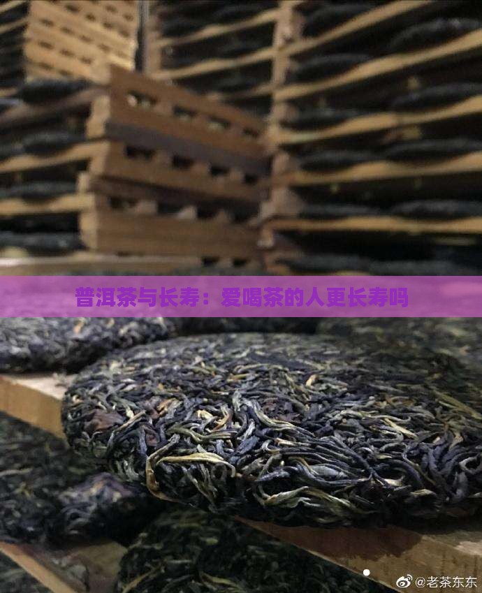 普洱茶界的人不长寿嘛