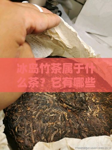 冰岛竹茶属于什么茶