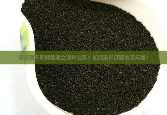 瓷茶壶不同器型泡什么茶
