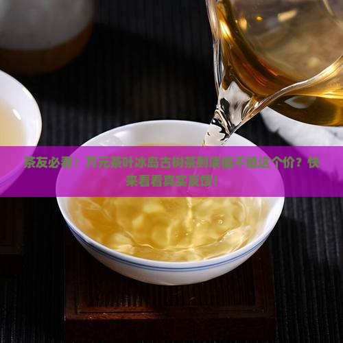 万元茶叶冰岛古树茶价格