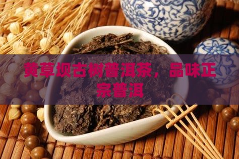 黄草坝单株普洱茶