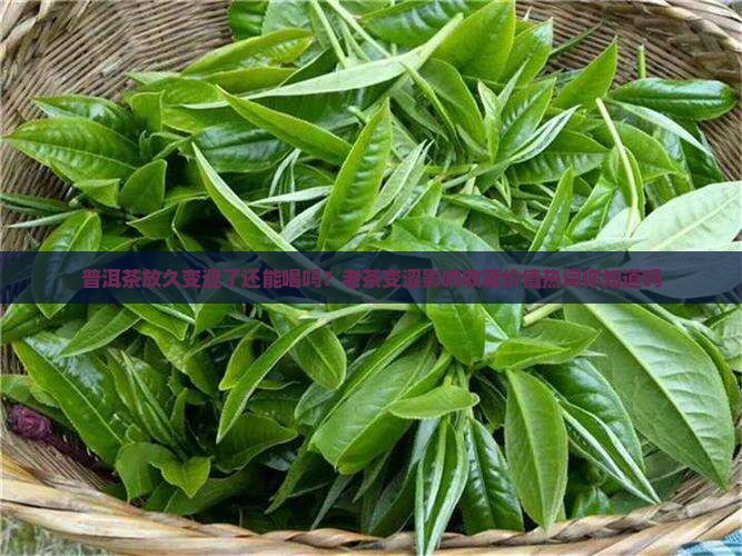 普洱茶放久变涩了还能喝吗
