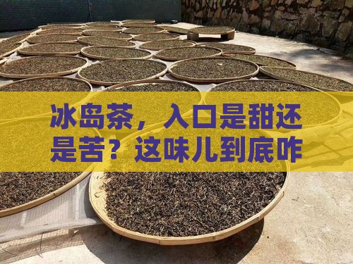 冰岛茶有苦的吗