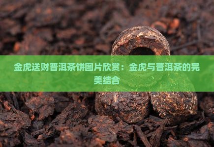 金虎送财普洱茶饼